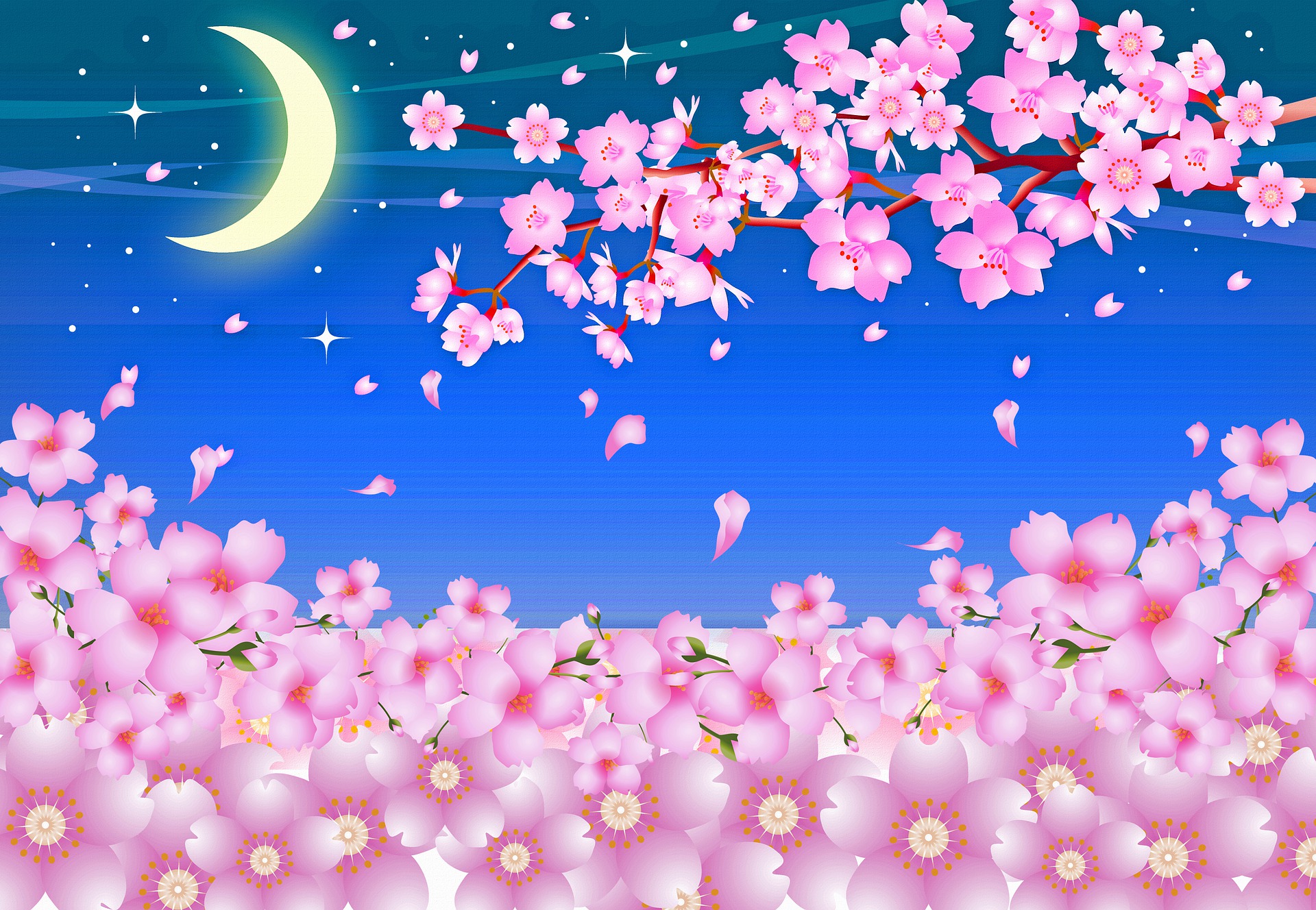 kwiaty kwitnącej wiśni na tle księżyca